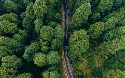 Pocket-Sized Powerhouses: How Mobile Apps Are Driving a More Sustainable World